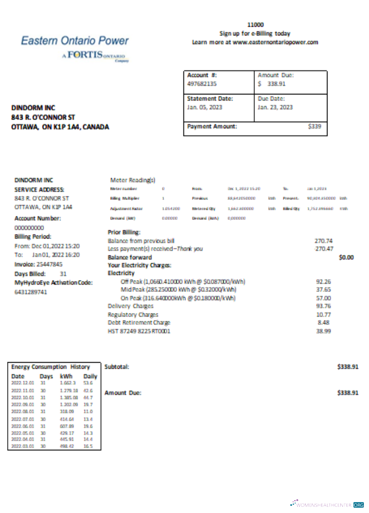 Professionelle Herunterladen Eastern Ontario Power Utility Geschäftlich Bill, SCR Photoshop Vorlage