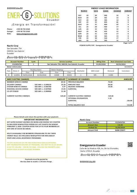 Editierbare Herunterladen Ecuador Energysource Ecuador Energy Geschäftlich Nebenkostenabrechnung Vorlage (2) Photoshop Vorlage
