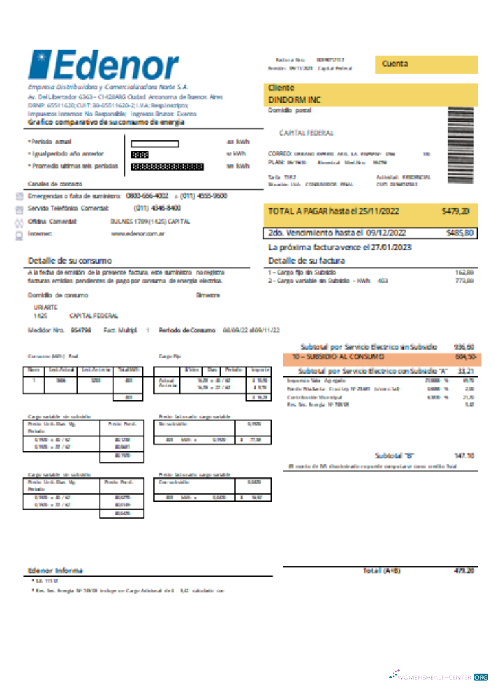 Realistische Herunterladen Edenor Easy To Fill Utility Geschäftlich Bill SCR Photoshop Vorlage