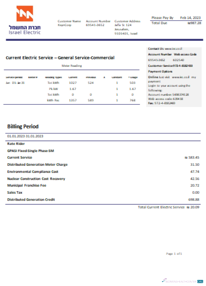 Editierbare Herunterladen Electric Konzern Utility Geschäftlich Bill SCR Photoshop Vorlage