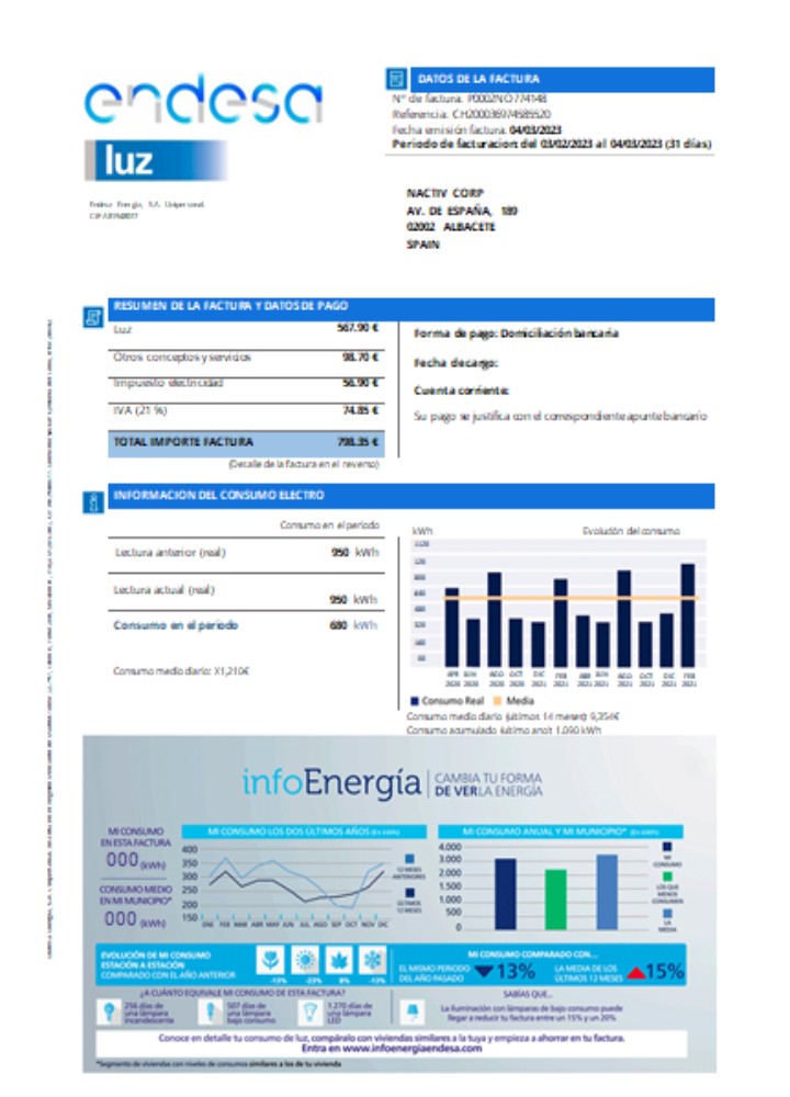 Professionelle Herunterladen Endesa Luz Utility Geschäftlich Bill SCR Photoshop Vorlage