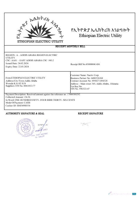 Hochwertige Herunterladen Ethiopian Electric Geschäftlich Nebenkostenabrechnung in Wordand PDF Formats1 Photoshop Vorlage
