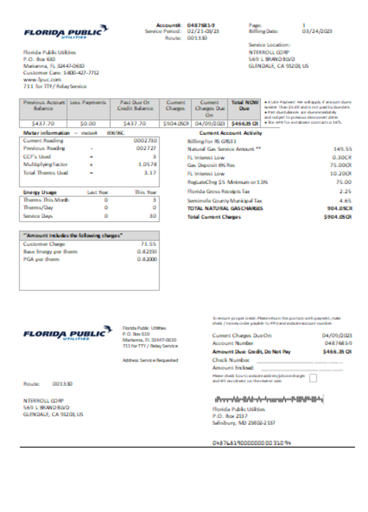 Hochwertige Herunterladen Florida Öffentlich Utilities Utility Geschäftlich Bill, SCR Photoshop Vorlage