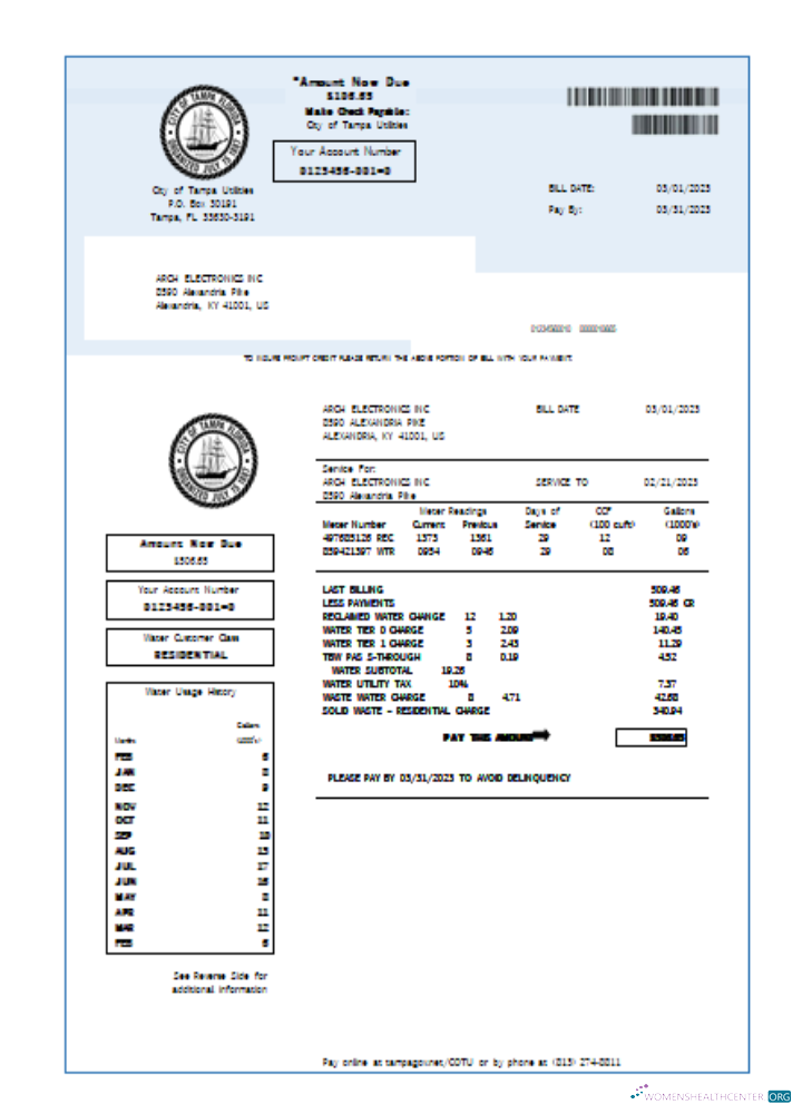 Editierbare Herunterladen Florida Wasser Utility Geschäftlich Bill, SCR Photoshop Vorlage
