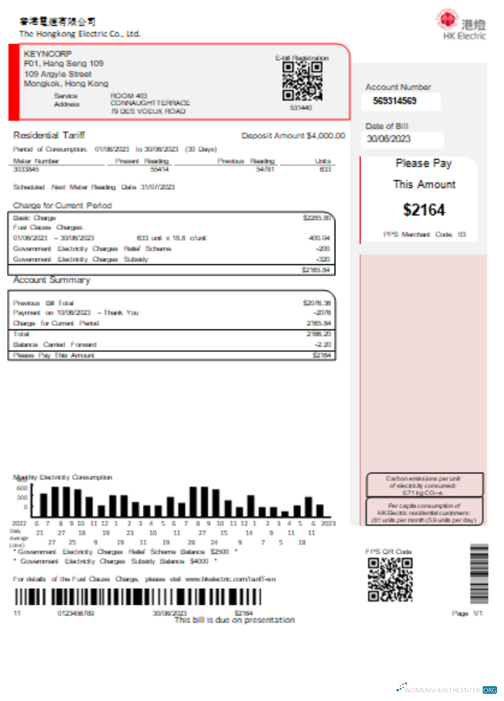 Professionelle Herunterladen Hongkong Electric Unternehmen Utility Geschäftlich Bill SCR Photoshop Vorlage