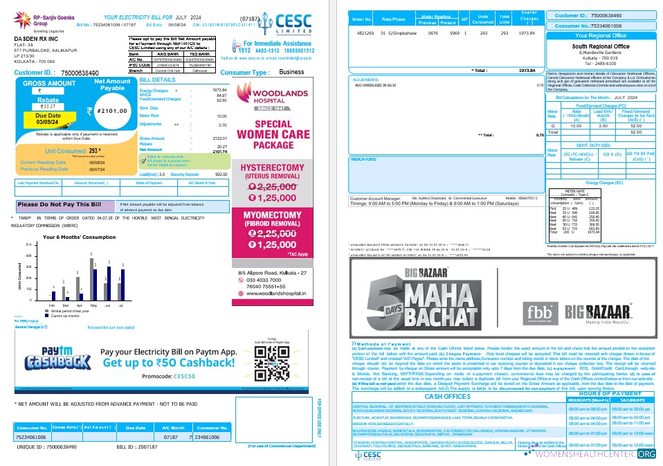 Premium Herunterladen Indien CESC GmbH Geschäftlich Nebenkostenabrechnung Word und PDF Photoshop Vorlage