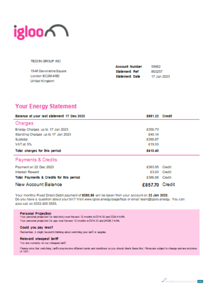 Premium Herunterladen Igloo Energy Utility Geschäftlich Bill, SCR Photoshop Vorlage