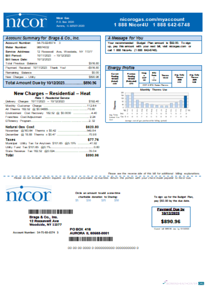 Editierbare Herunterladen Illinois Nicor Gas Geschäftlich Nebenkostenabrechnung SCR Photoshop Vorlage