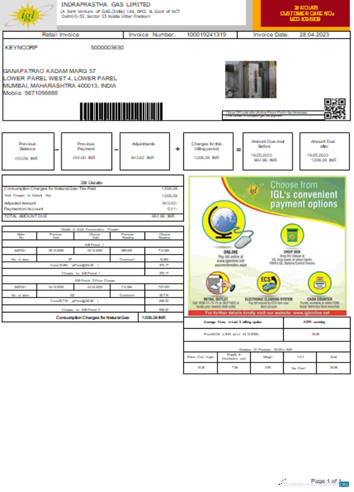 Professionelle Herunterladen Indraprastha Gas GmbH (IGL)utility Geschäftlich Bill, SCR Photoshop Vorlage