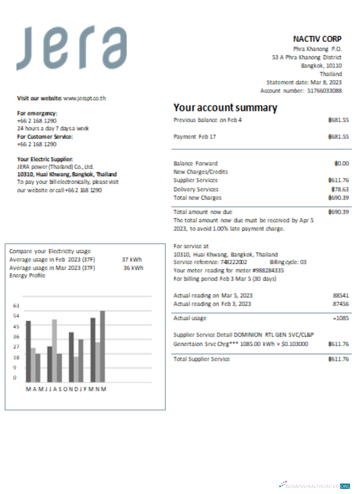 Hochwertige Herunterladen JERA Power (Thailand) Co., GmbH. Utility Geschäftlich Bill, SCR Photoshop Vorlage