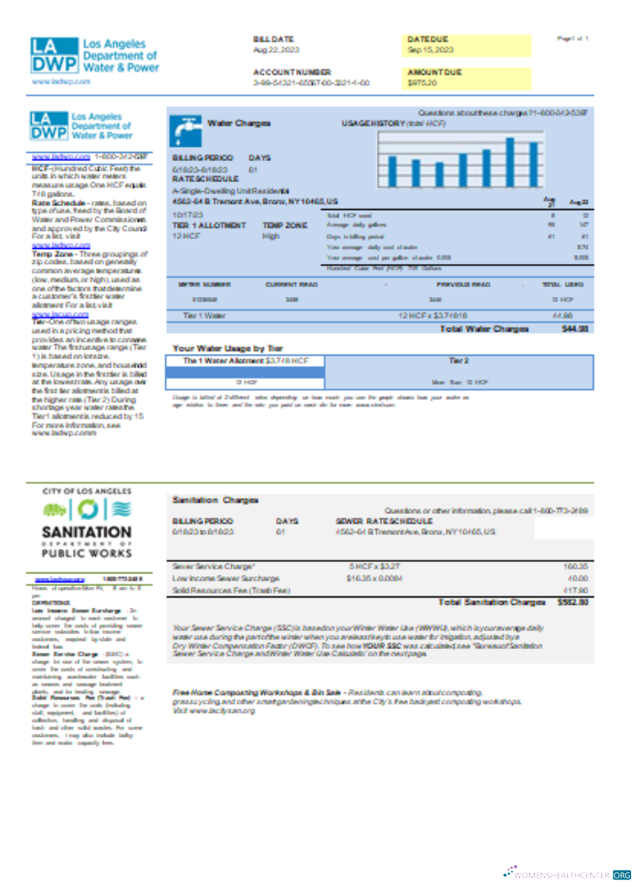 Realistische Herunterladen LA DWP Utility Geschäftlich Bill, SCR Photoshop Vorlage