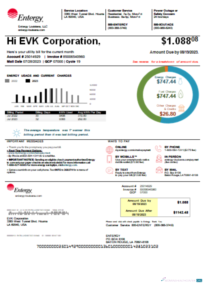 Hochwertige Herunterladen Louisiana Entergy Utility Geschäftlich Bill SCR Photoshop Vorlage