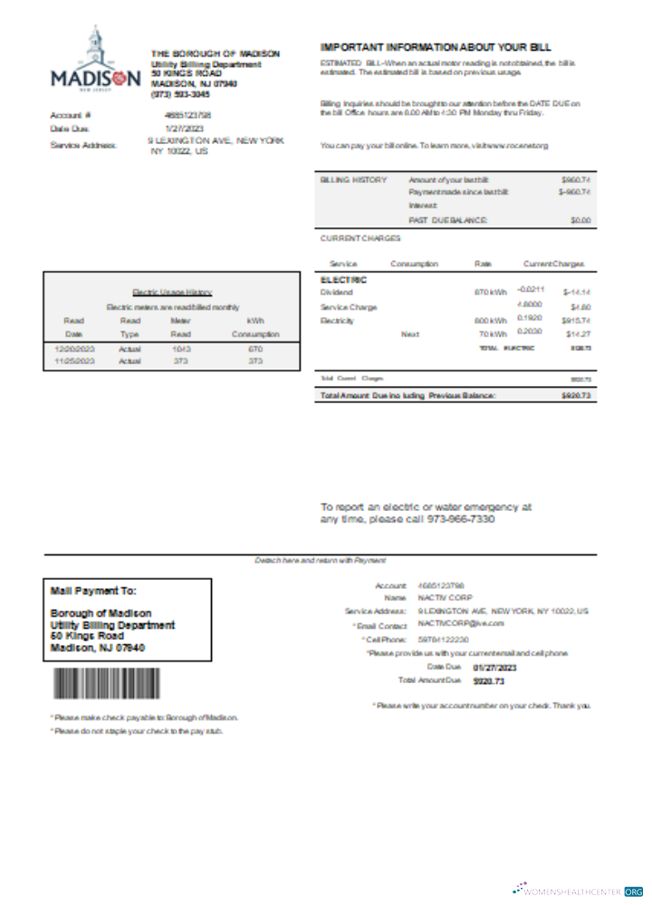 Realistische Herunterladen Madison Electric Abteilung Utility Geschäftlich Bill, SCR Photoshop Vorlage