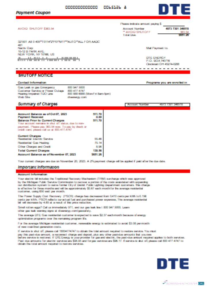 Realistische Herunterladen Michigan DTE Energy Utility Geschäftlich Bill, Word und PDF Vorlage SCR Photoshop Vorlage