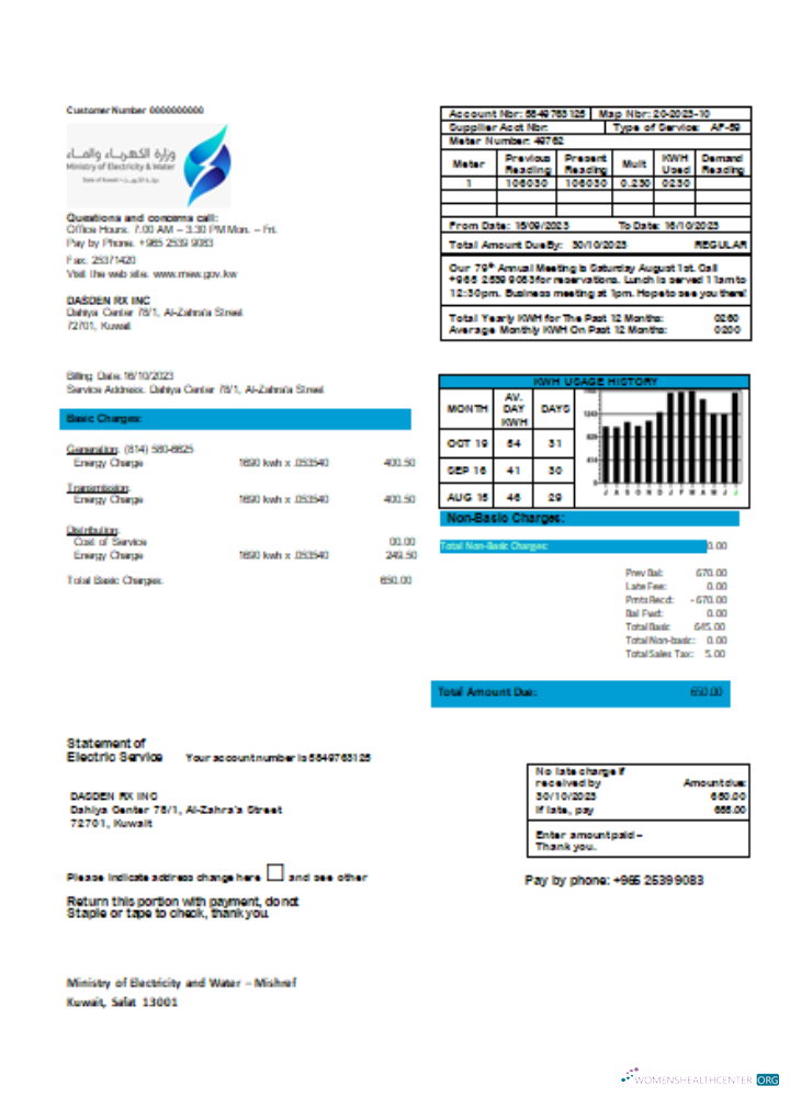 Editierbare Herunterladen Ministry von Strom und Wasser Kuwait Utility Geschäftlich Bill, SCR Photoshop Vorlage