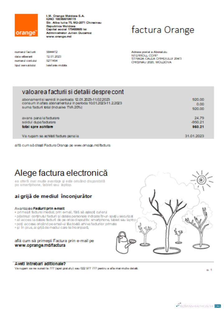 Premium Herunterladen Moldawien Orange Factura Utility Geschäftlich Bill, SCR Photoshop Vorlage
