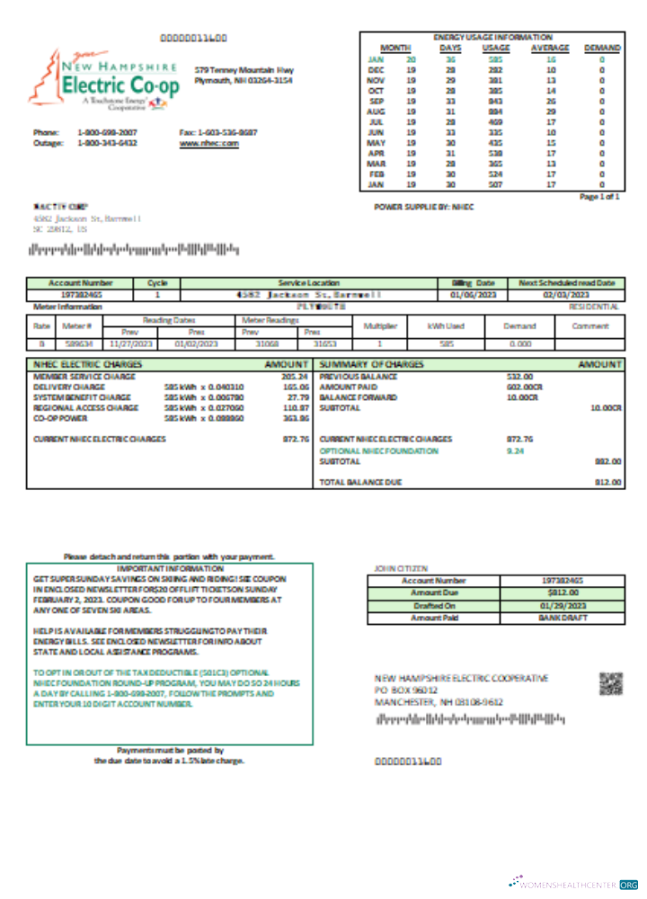Premium Herunterladen Neu Hampshire Electric Co Op Strom Utility Geschäftlich Bill, SCR Photoshop Vorlage