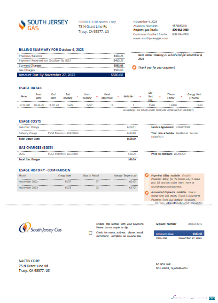 Hochwertige Herunterladen Neu Jersey Gas Utility Geschäftlich Bill, SCR Photoshop Vorlage
