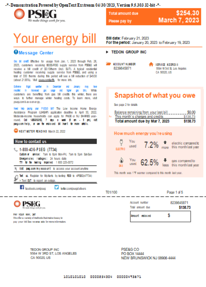 Realistische Herunterladen Neu York PSEG Utility Geschäftlich Bill, Seite 1, SCR Photoshop Vorlage