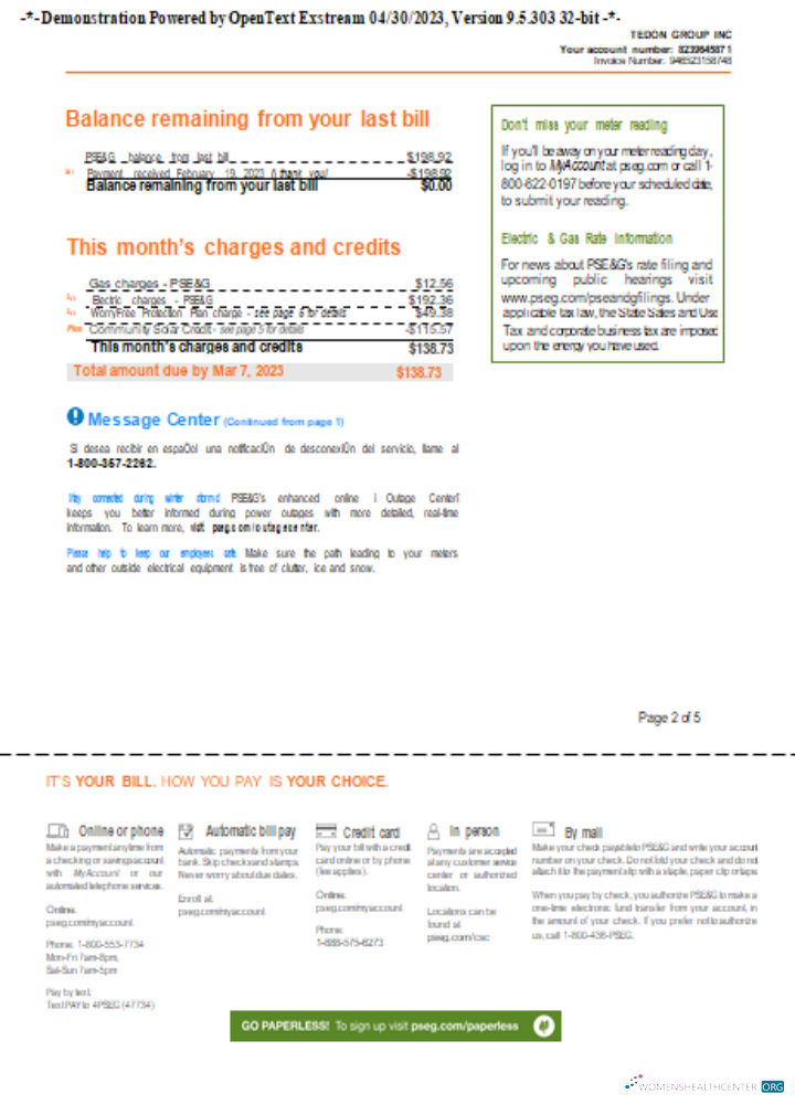 Premium Herunterladen Neu York PSEG Utility Geschäftlich Bill, Seite 2, SCR Photoshop Vorlage