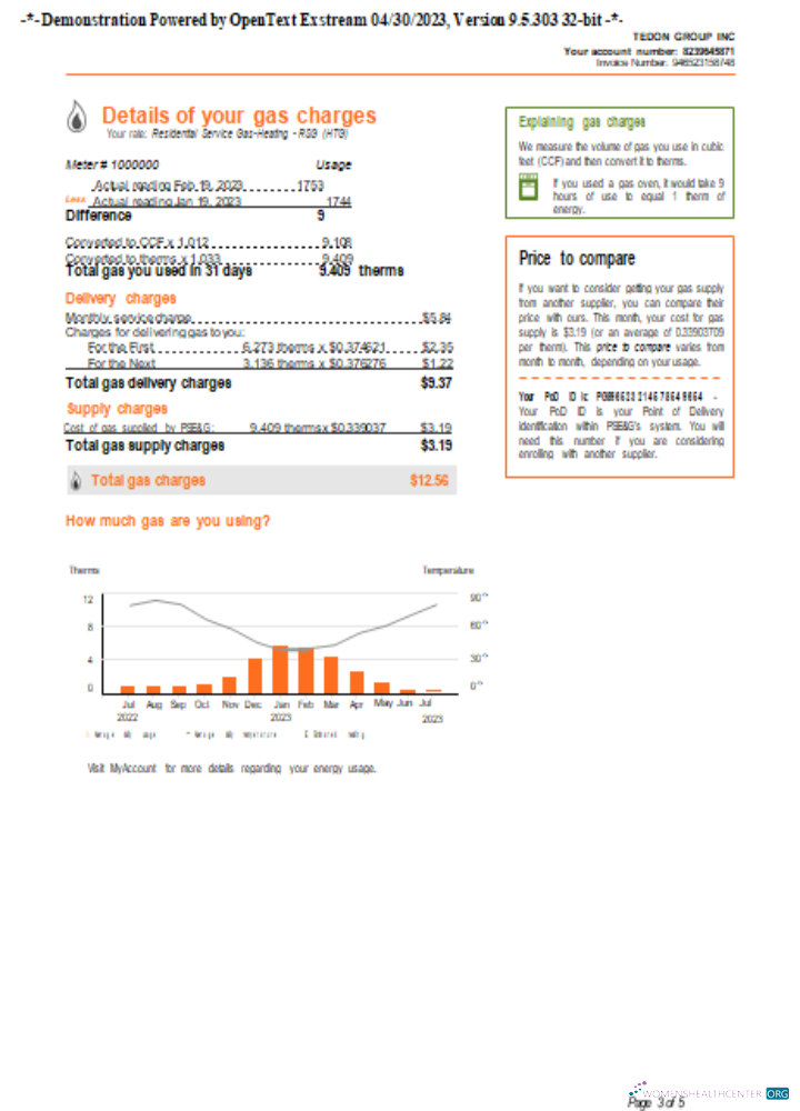 Realistische Herunterladen Neu York PSEG Utility Geschäftlich Bill, Seite 3,SCR Photoshop Vorlage