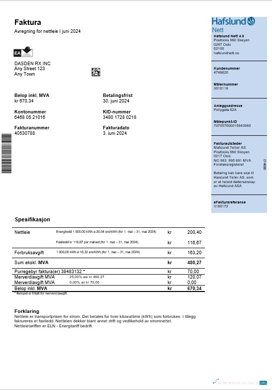 Professionelle Herunterladen Norwegen Hafslund Geschäftlich Nebenkostenabrechnung Word und PDF Vorlage Photoshop Vorlage