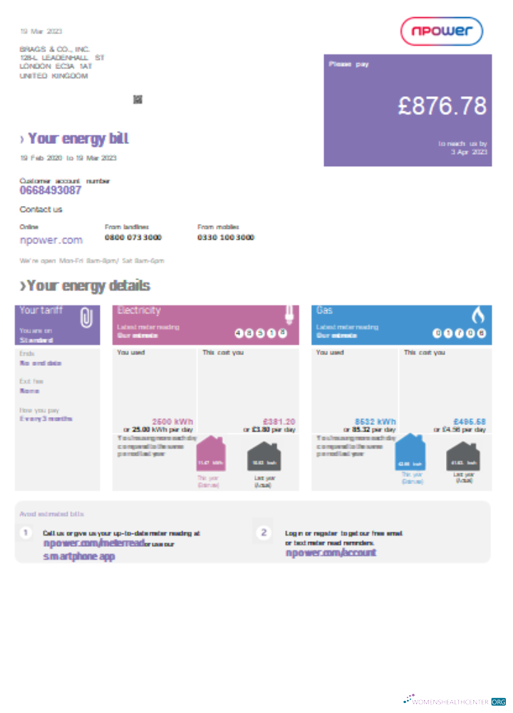 Editierbare Herunterladen Npower Utility Geschäftlich Bill, Version 1, SCR Photoshop Vorlage