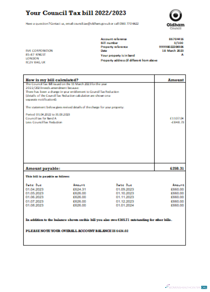 Professionelle Herunterladen Oldham Council Tax Geschäftlich Bill, SCR Photoshop Vorlage