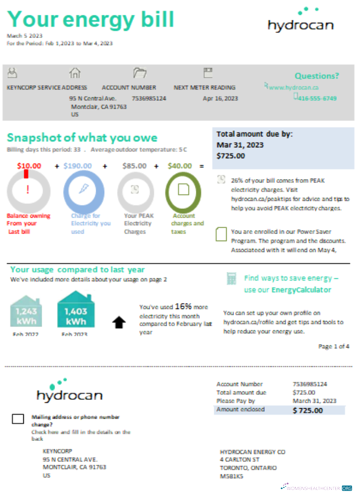 Premium Herunterladen Ontario Hydrocan Strom Geschäftlich Bill, SCR Photoshop Vorlage