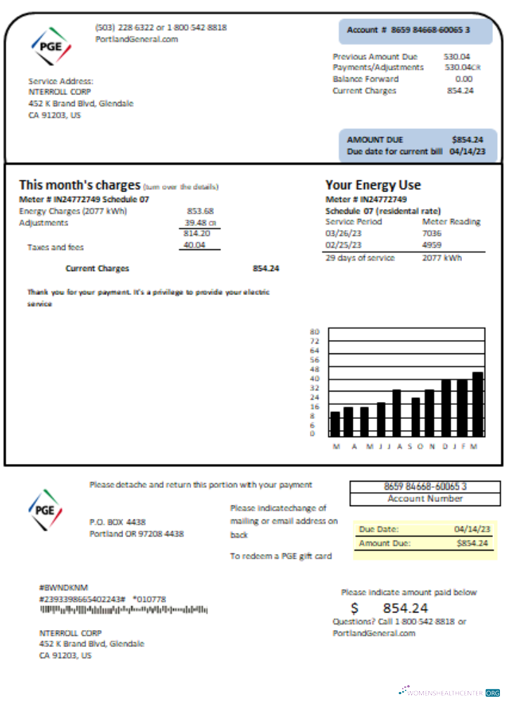 Premium Herunterladen Oregon PGE Strom Utility Geschäftlich Bill, SCR Photoshop Vorlage