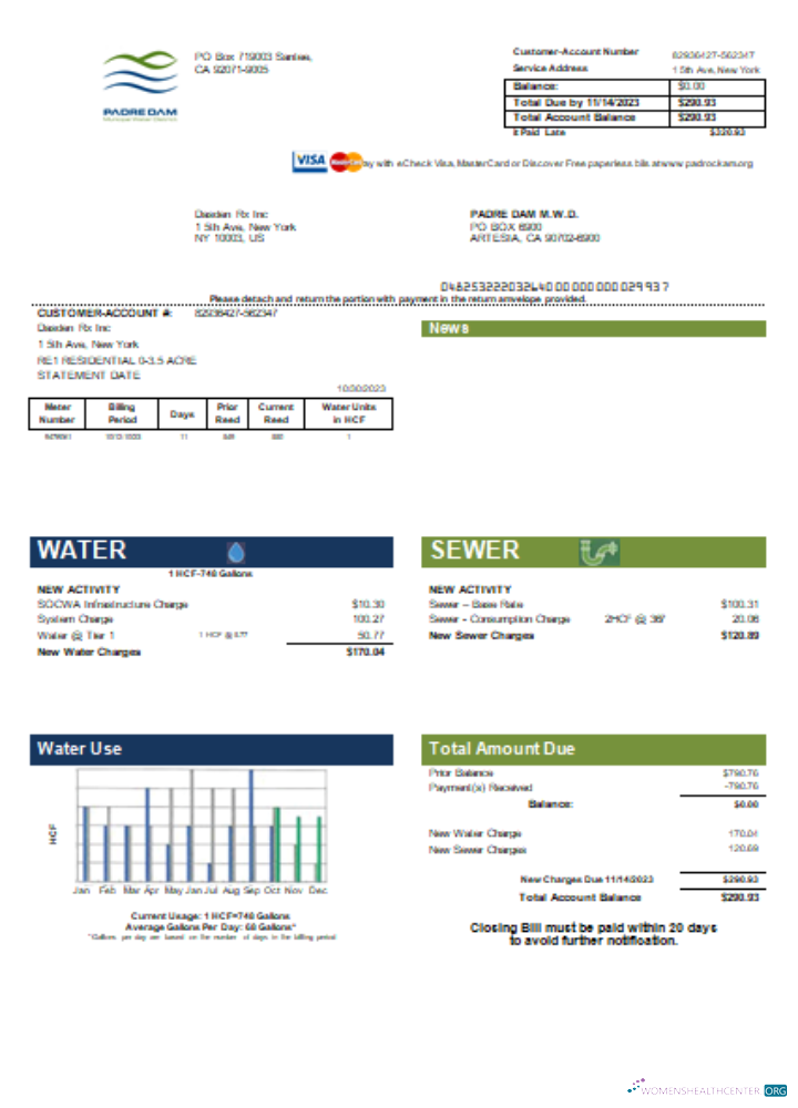 Editierbare Herunterladen Padre Dam Kommunal Wasser Bezirk Utility Geschäftlich Bill, SCR Photoshop Vorlage