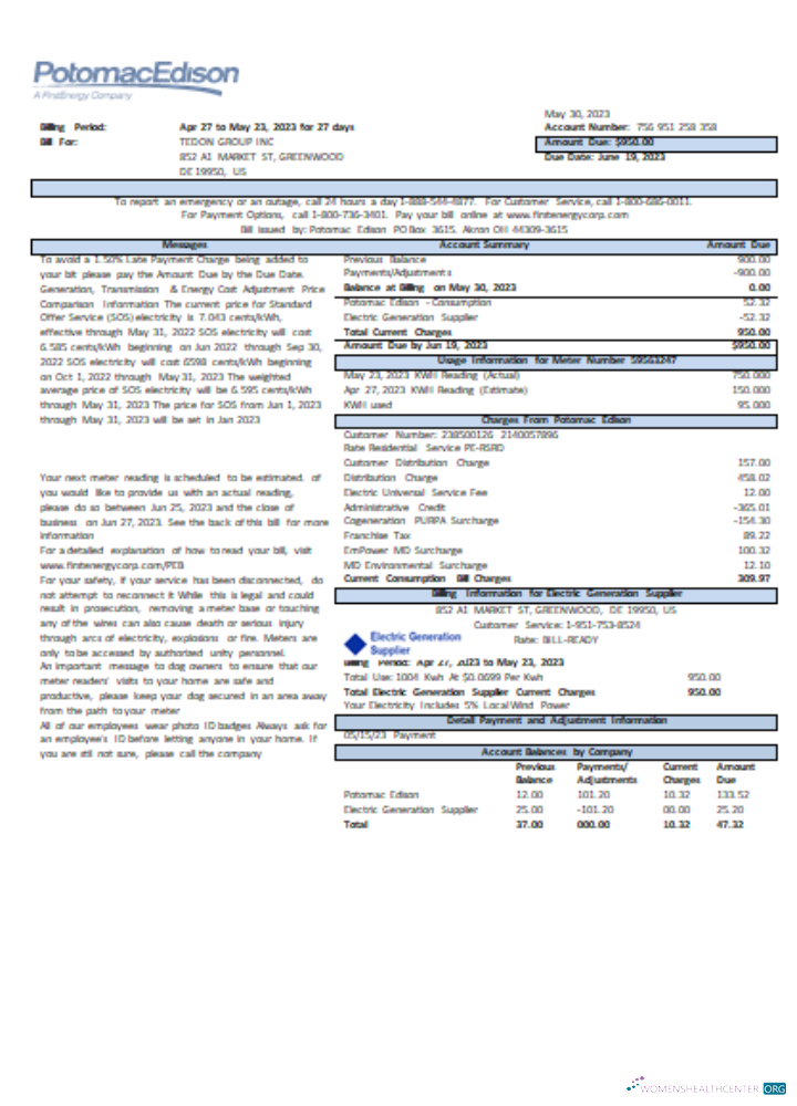 Editierbare Herunterladen Potomac Edison Utility Geschäftlich Bill, Seite 1, SCR Photoshop Vorlage