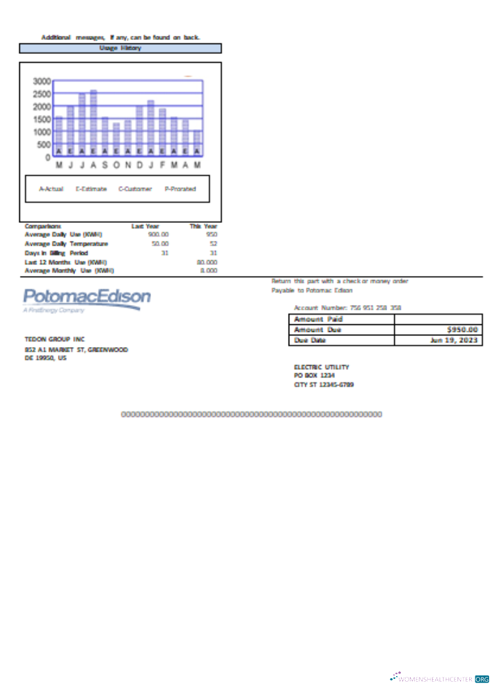 Realistische Herunterladen Potomac Edison Utility Geschäftlich Bill, Seite 2, SCR Photoshop Vorlage