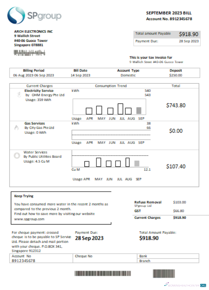 Hochwertige Herunterladen SP Group Utility Geschäftlich Bill SCR, Seite 1 Photoshop Vorlage
