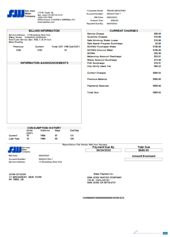 Professionelle Herunterladen San Jose Wasser Utility Geschäftlich Bill, SCR Photoshop Vorlage