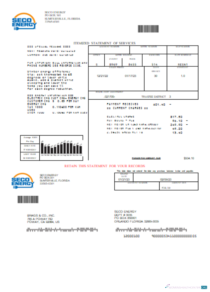 Editierbare Herunterladen Seco Energy Utility Geschäftlich Bill, SCR Photoshop Vorlage