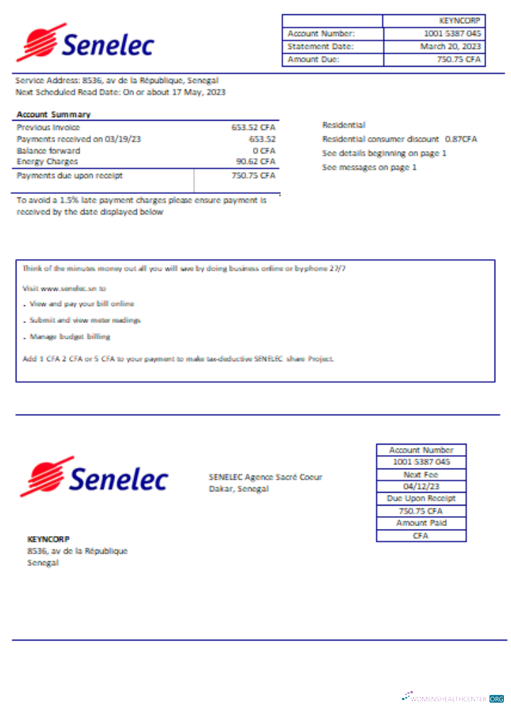 Hochwertige Herunterladen Senelec Agence Sacré Coeur Unternehmen Strom Utility Geschäftlich Bill, SCR Photoshop Vorlage