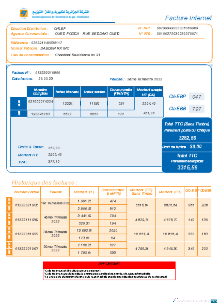 Professionelle Herunterladen Societe Algerien Verteilung Internet Utility Geschäftlich Bill, SCR Photoshop Vorlage