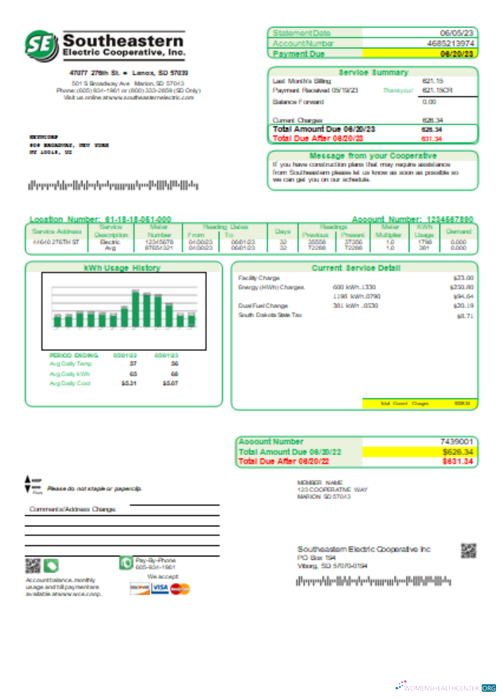 Premium Herunterladen Southeastern Electric Cooperative, Inc. Utility Geschäftlich Bill, SCR Photoshop Vorlage