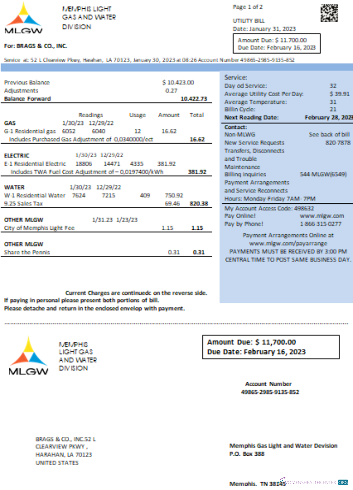 Professionelle Herunterladen Tennesse MLGW Utility Geschäftlich Bill, SCR Photoshop Vorlage