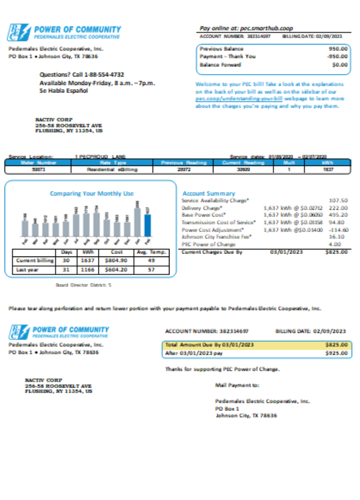 Editierbare Herunterladen Texas Power von Community Strom Utility Geschäftlich Bill, SCR Photoshop Vorlage