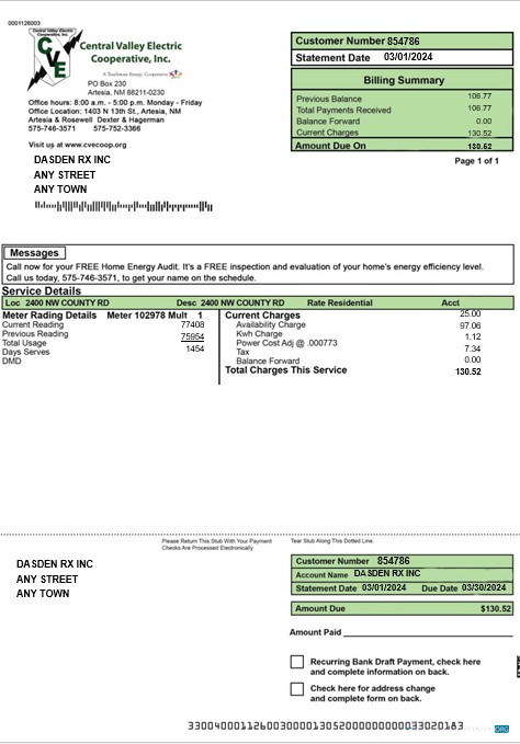 Premium Herunterladen USA Zentral VALLEY ELECTRIC Geschäftlich Nebenkostenabrechnung Word und PDF Vorlage Photoshop Vorlage