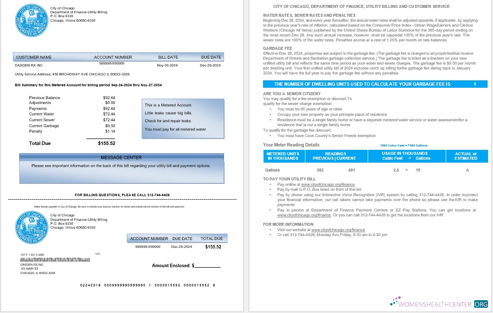 Professionelle Herunterladen USA Stadt von CHICAGO Geschäftlich Nebenkostenabrechnung Word und PDF Vorlage Photoshop Vorlage