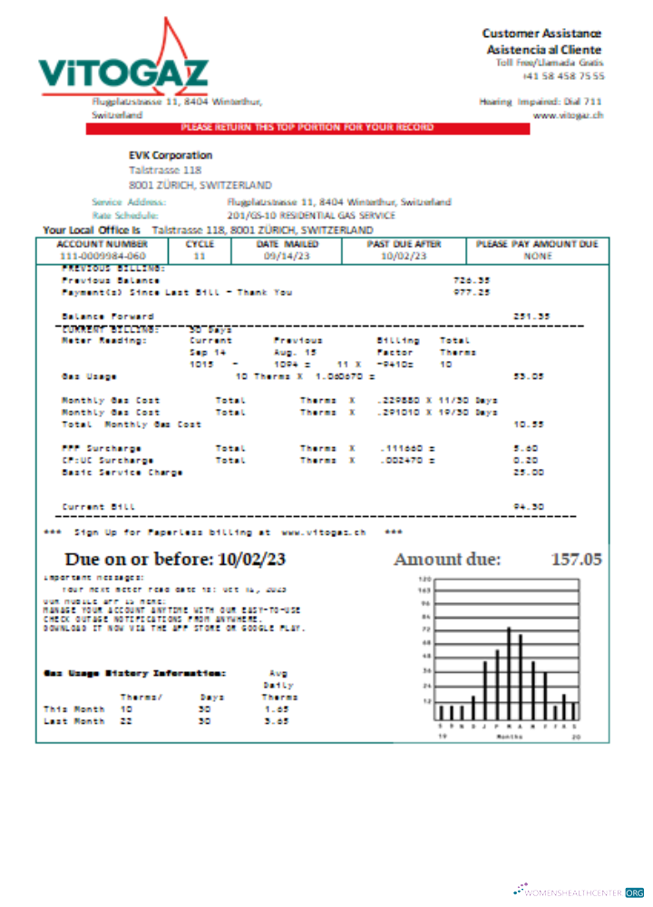Editierbare Herunterladen Vitogaz Schweiz AG Utility Geschäftlich Bill SCR Photoshop Vorlage