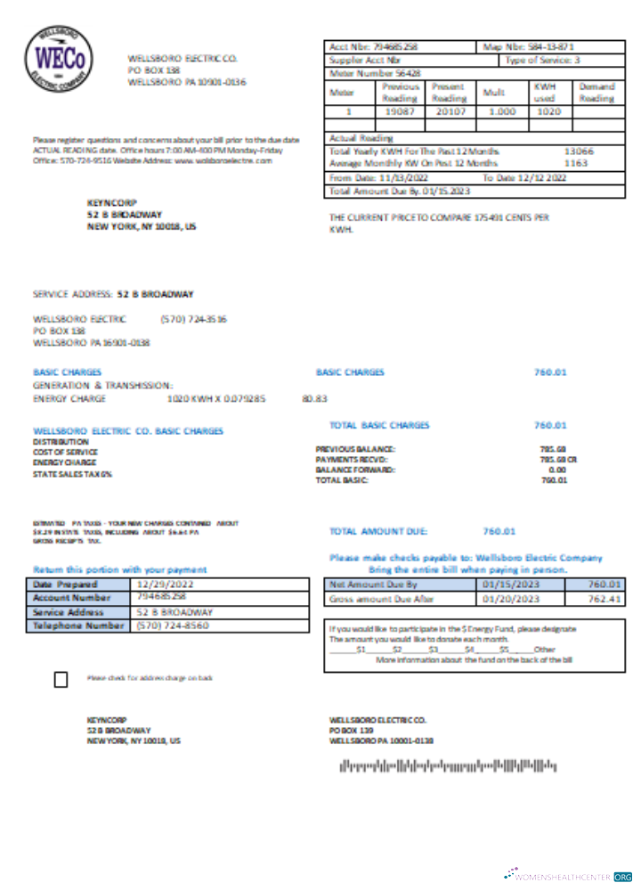 Premium Herunterladen Wellsboro Electric Co Utility Geschäftlich Bill, SCR Photoshop Vorlage