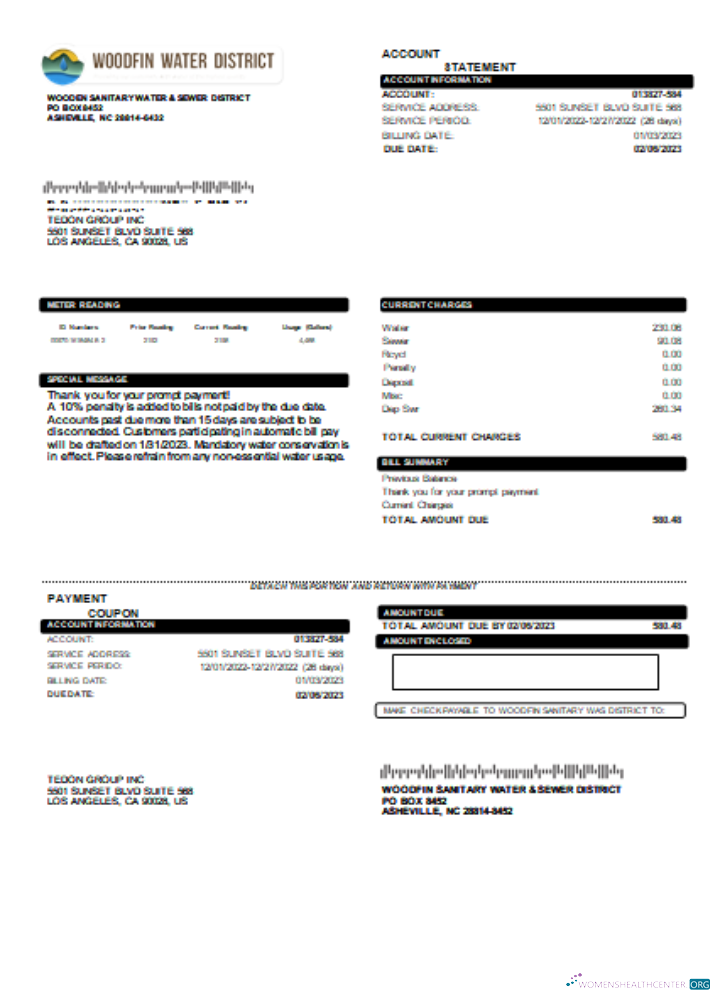 Hochwertige Herunterladen Woodfin Sanitary Wasser & Sewer Bezirk Utility Geschäftlich Bill, SCR Photoshop Vorlage