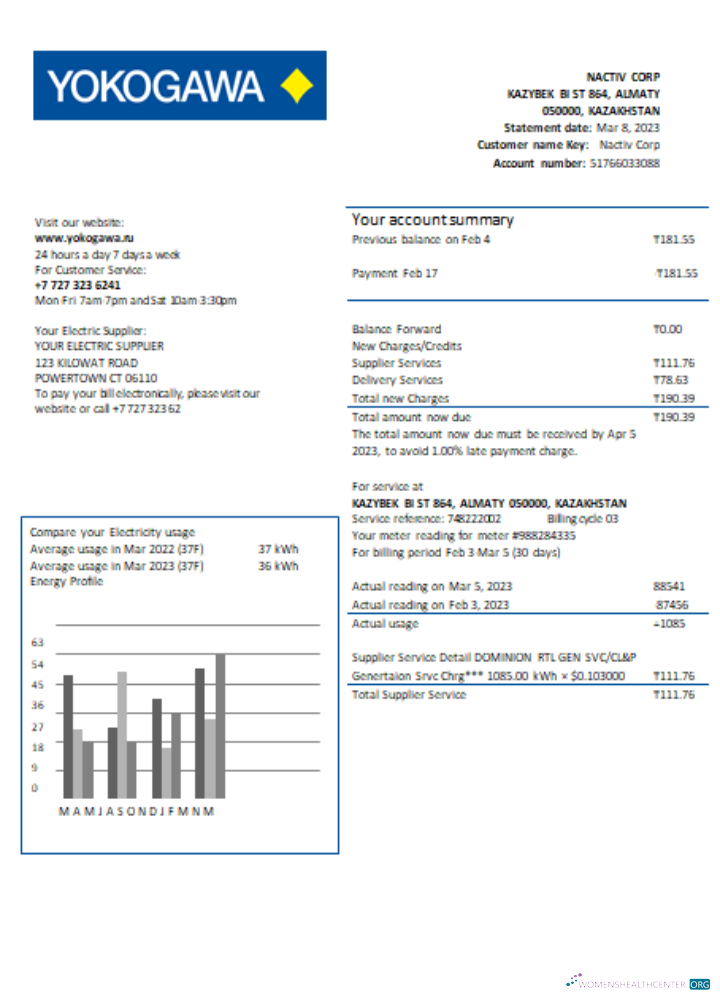 Hochwertige Herunterladen Yokogawa Electric Kasachstan GmbH. Utility Geschäftlich Bill, SCR Photoshop Vorlage