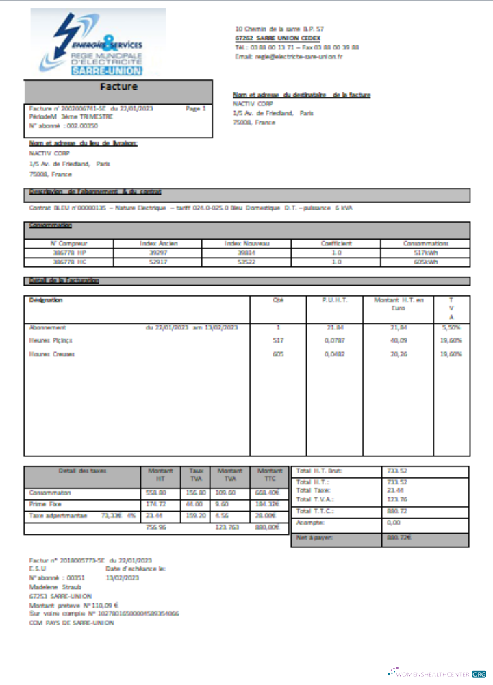 Energies & Services Regie Kommunal D Electricite Sarre Union Strom Utility Geschäftlich Bill, SCR modell