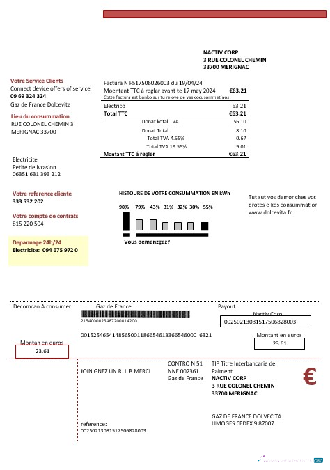Realistische Frankreich Gaz de Frankreich Dolcevita Geschäftlich Nebenkostenabrechnung Vorlage in Word und PDF Formats1