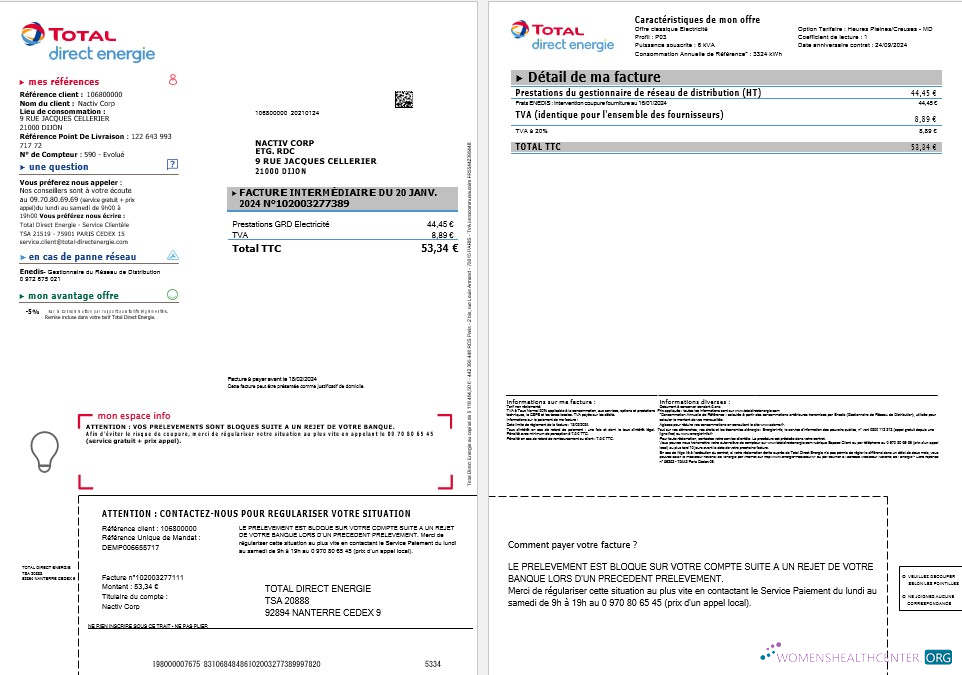 Professionelle Frankreich Total Direct Energie Geschäftlich Nebenkostenabrechnung Vorlage in Word und PDF Formats1